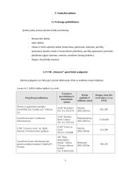 Verslo planas: statybos darbai UAB "Simansta" 5 puslapis