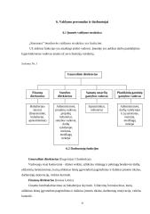 Verslo planas: statybos darbai UAB "Simansta" 9 puslapis