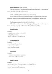 Verslo planas: statybos darbai UAB "Simansta" 10 puslapis