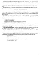 Verslo planavimas 2 puslapis
