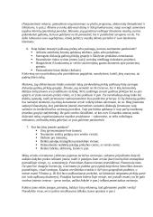 Sėkmingo verslo plano rengimas 2 puslapis