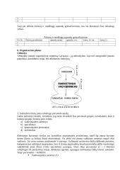 Sėkmingo verslo plano rengimas 11 puslapis