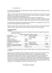 Sėkmingo verslo plano rengimas 12 puslapis