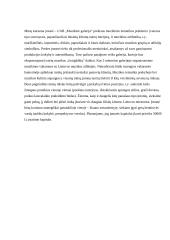 Sėkmingo verslo plano rengimas 13 puslapis