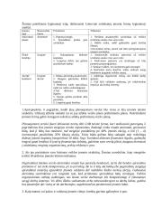 Sėkmingo verslo plano rengimas 4 puslapis