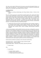 Sėkmingo verslo plano rengimas 5 puslapis