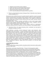 Sėkmingo verslo plano rengimas 6 puslapis