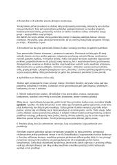 Sėkmingo verslo plano rengimas 7 puslapis