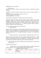 Sėkmingo verslo plano rengimas 10 puslapis