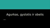 Agurkas, gyslotis ir obelis