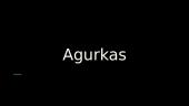 Agurkas, gyslotis ir obelis 2 puslapis