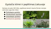 Agurkas, gyslotis ir obelis 11 puslapis
