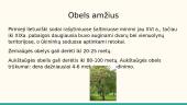 Agurkas, gyslotis ir obelis 18 puslapis