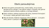 Agurkas, gyslotis ir obelis 20 puslapis