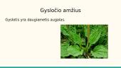Agurkas, gyslotis ir obelis 10 puslapis