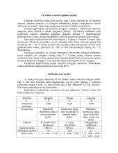 Verslo strategija: langų gamyba "Langusta" 2 puslapis