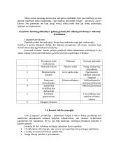 Verslo strategija: langų gamyba "Langusta" 3 puslapis