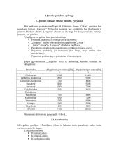 Verslo strategija: langų gamyba "Langusta" 5 puslapis