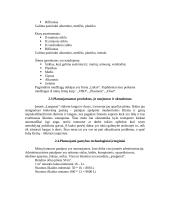 Verslo strategija: langų gamyba "Langusta" 6 puslapis