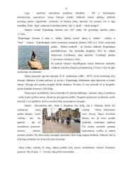 Verslo vadybos namų kontrolinis darbas 11 puslapis