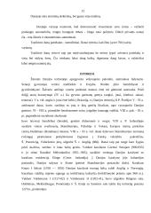 Verslo vadybos namų kontrolinis darbas 12 puslapis