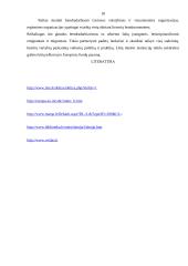 Verslo vadybos namų kontrolinis darbas 18 puslapis