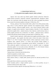 Tėvų informuotumas apie vaikų paliatyviosios pagalbos teikimą Lietuvoje 3 puslapis