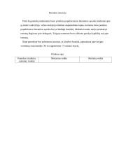  Pamokos metrika. Tema J. D. Salinger romano Rugiuose prie bedugnės ištraukos analizė 2 puslapis