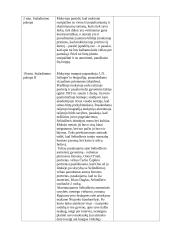  Pamokos metrika. Tema J. D. Salinger romano Rugiuose prie bedugnės ištraukos analizė 3 puslapis