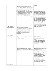  Pamokos metrika. Tema J. D. Salinger romano Rugiuose prie bedugnės ištraukos analizė 5 puslapis