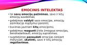Emocijų suvokimas ir jų raiška 2 puslapis