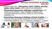 Emocijų suvokimas ir jų raiška 13 puslapis