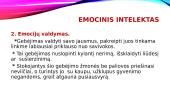 Emocijų suvokimas ir jų raiška 4 puslapis