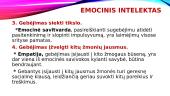 Emocijų suvokimas ir jų raiška 5 puslapis