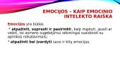 Emocijų suvokimas ir jų raiška 8 puslapis