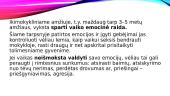 Emocijų suvokimas ir jų raiška 9 puslapis