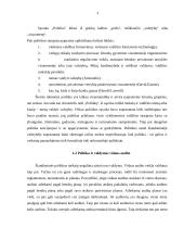 Vidaus audito politinė pusė 3 puslapis