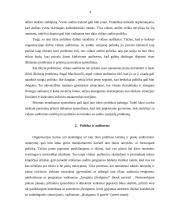 Vidaus audito politinė pusė 4 puslapis