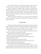 Vidaus audito politinė pusė 5 puslapis