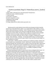 Gražinos paveikslas. Rašinys su planu