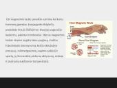 Elektrinių ir magnetinių laukų poveikis gyvajai gamtai ir žmogui 5 puslapis