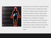 Elektrinių ir magnetinių laukų poveikis gyvajai gamtai ir žmogui 6 puslapis
