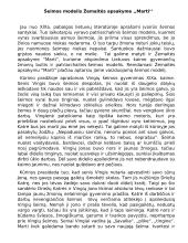 Šeimos modelis Žemaitės apsakyme ,,Marti‘‘