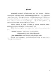 Vieniši tėvai ir jų problemos 3 puslapis