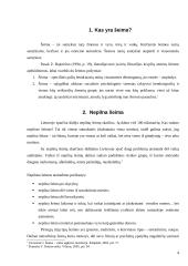 Vieniši tėvai ir jų problemos 4 puslapis