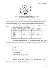 Vienkartinės liejimo formos gamybos technologijos projektavimas ir dokumentavimas 4 puslapis