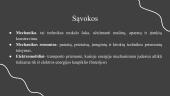Mechanika, mechanikos remontas ir  elektromobiliai 2 puslapis