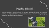 Mechanika, mechanikos remontas ir  elektromobiliai 5 puslapis