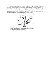 Vienkartinės liejimo formos gamybos technologijos suprojektavimas 2 puslapis