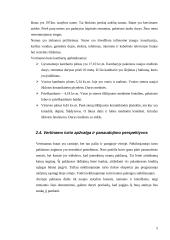 Vieno kambario buto Kaune vertinimas 5 puslapis